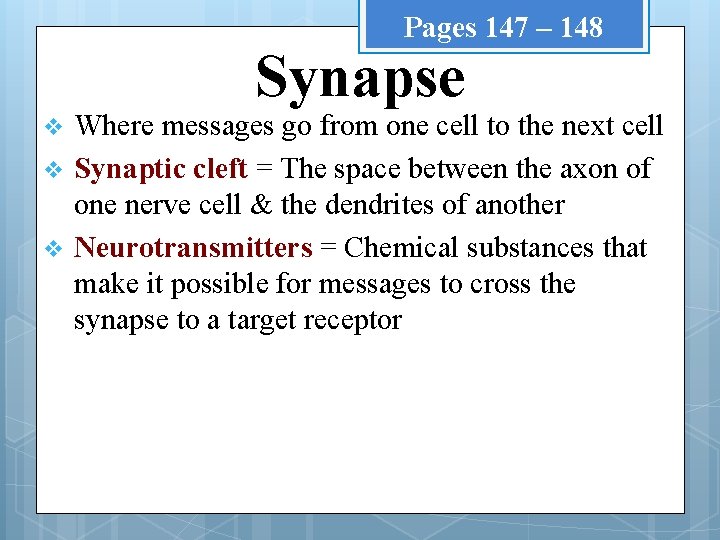 Pages 147 – 148 Synapse v v v Where messages go from one cell