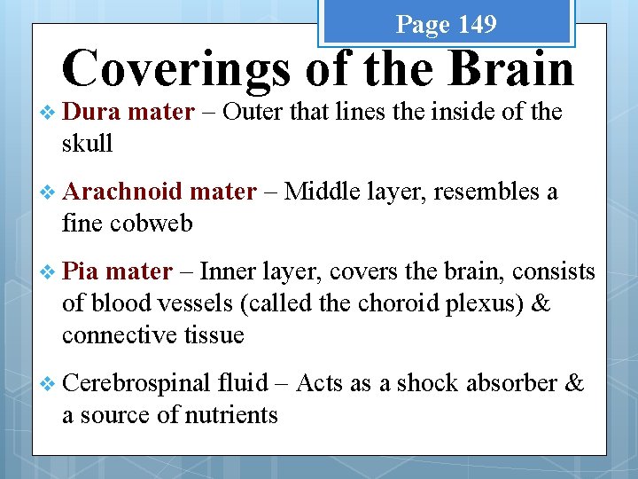 Page 149 Coverings of the Brain v Dura mater – Outer that lines the