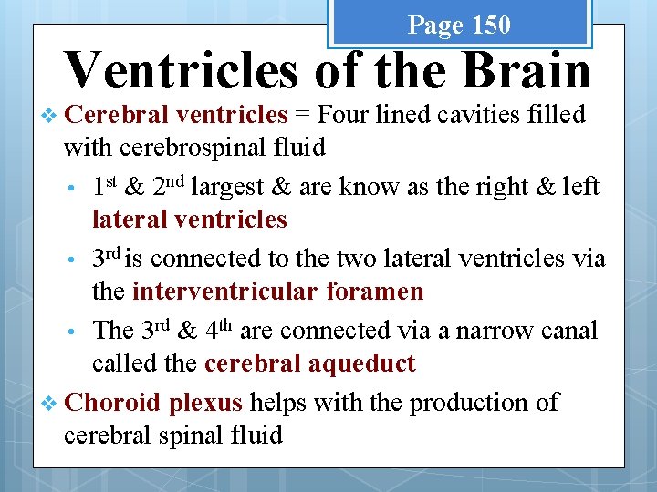 Page 150 Ventricles of the Brain v Cerebral ventricles = Four lined cavities filled