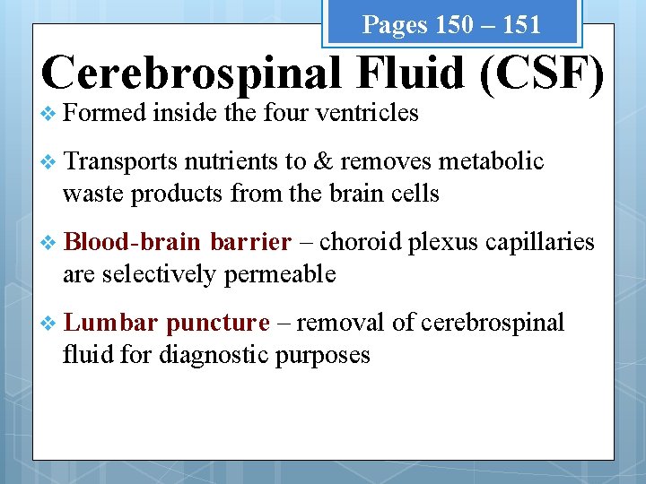 Pages 150 – 151 Cerebrospinal Fluid (CSF) v Formed inside the four ventricles v