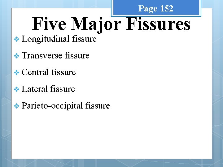 Page 152 Five Major Fissures v Longitudinal v Transverse fissure v Central fissure v