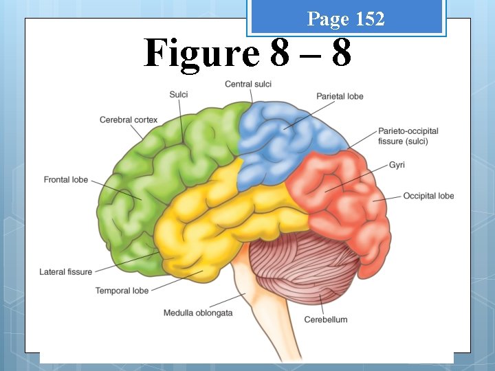 Page 152 Figure 8 – 8 