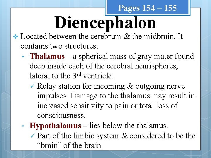 Pages 154 – 155 Diencephalon v Located between the cerebrum & the midbrain. It