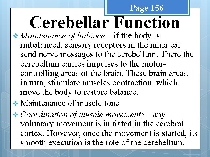 Page 156 Cerebellar Function v Maintenance of balance – if the body is imbalanced,