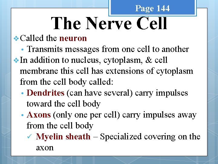 Page 144 v Called The Nerve Cell the neuron • Transmits messages from one