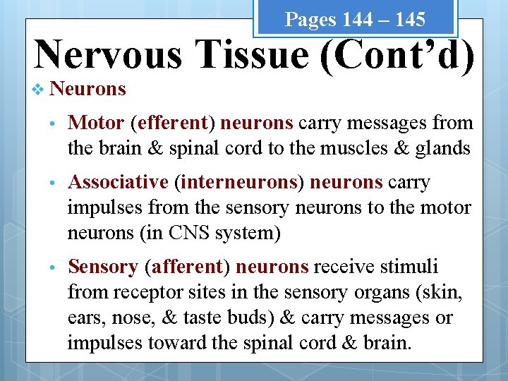 Pages 144 – 145 Nervous Tissue (Cont’d) v Neurons • Motor (efferent) neurons carry