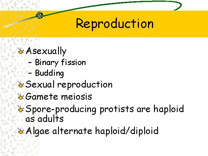 Reproduction Asexually – Binary fission – Budding Sexual reproduction Gamete meiosis Spore-producing protists are