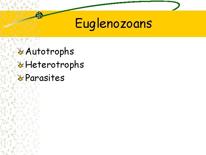 Euglenozoans Autotrophs Heterotrophs Parasites 