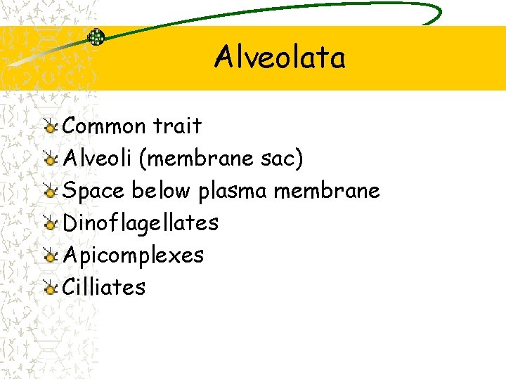 Alveolata Common trait Alveoli (membrane sac) Space below plasma membrane Dinoflagellates Apicomplexes Cilliates 