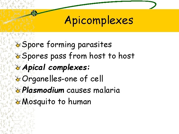 Apicomplexes Spore forming parasites Spores pass from host to host Apical complexes: Organelles-one of