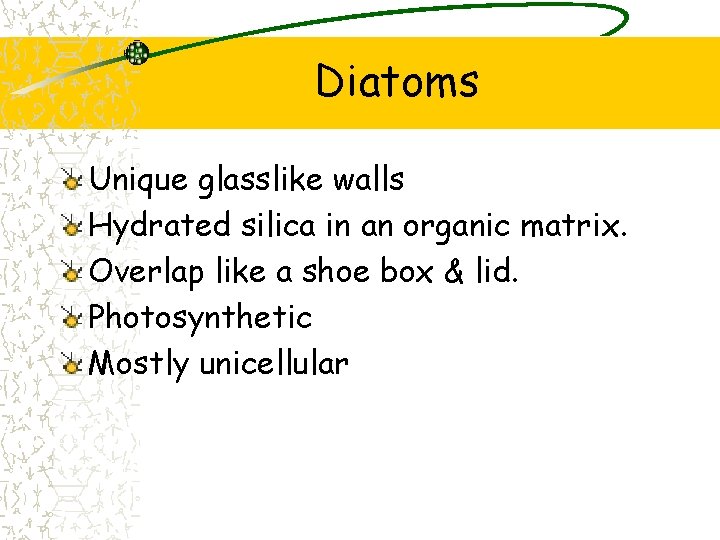 Diatoms Unique glasslike walls Hydrated silica in an organic matrix. Overlap like a shoe