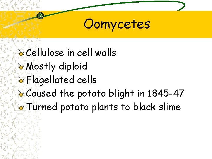 Oomycetes Cellulose in cell walls Mostly diploid Flagellated cells Caused the potato blight in