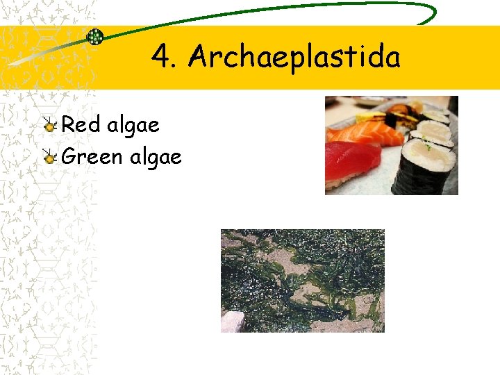 4. Archaeplastida Red algae Green algae 