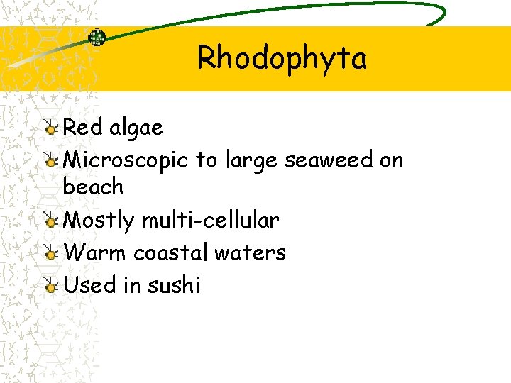 Rhodophyta Red algae Microscopic to large seaweed on beach Mostly multi-cellular Warm coastal waters