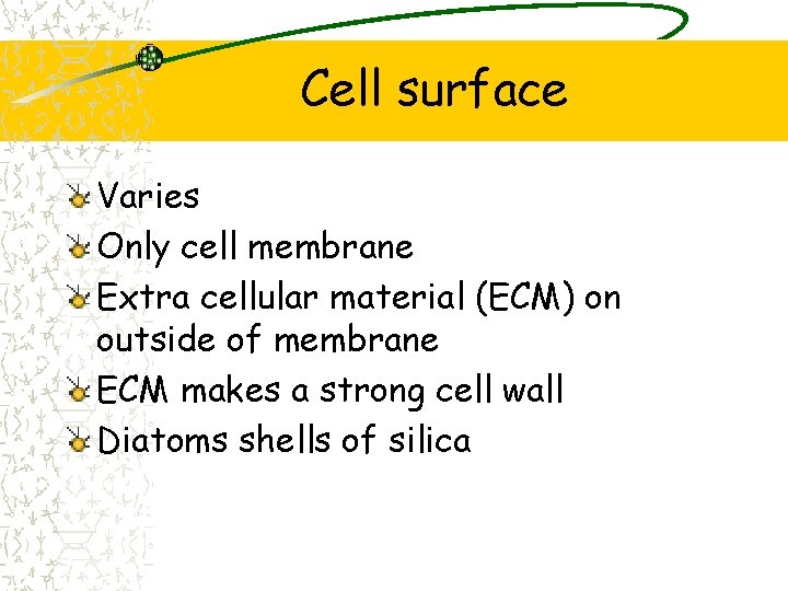 Cell surface Varies Only cell membrane Extra cellular material (ECM) on outside of membrane