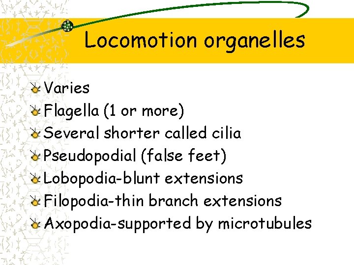 Locomotion organelles Varies Flagella (1 or more) Several shorter called cilia Pseudopodial (false feet)