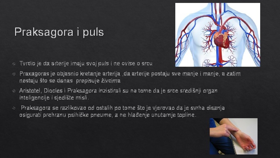 Praksagora i puls Tvrdio je da arterije imaju svoj puls i ne ovise o