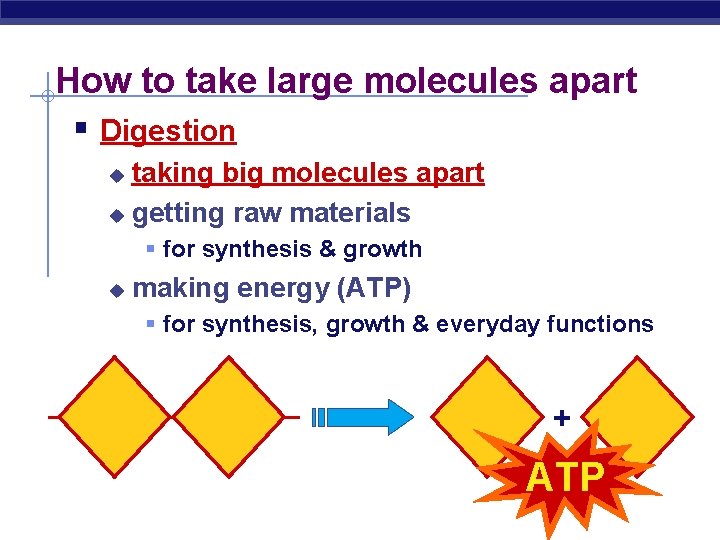 How to take large molecules apart § Digestion taking big molecules apart u getting