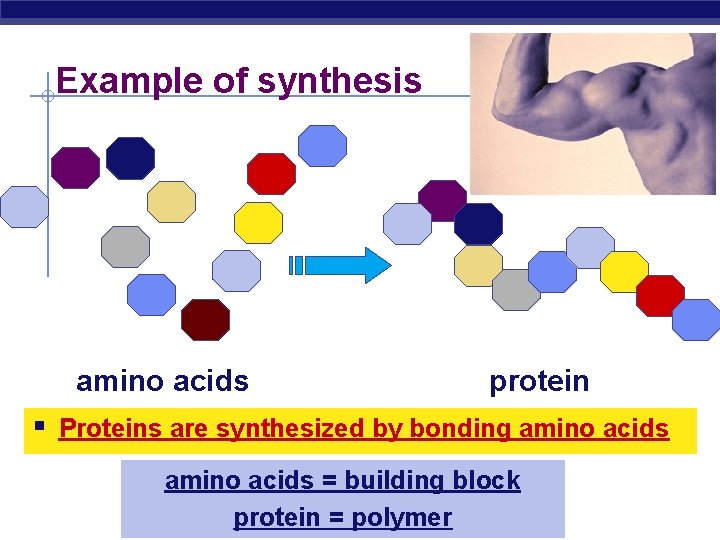Example of synthesis amino acids protein § Proteins are synthesized by bonding amino acids