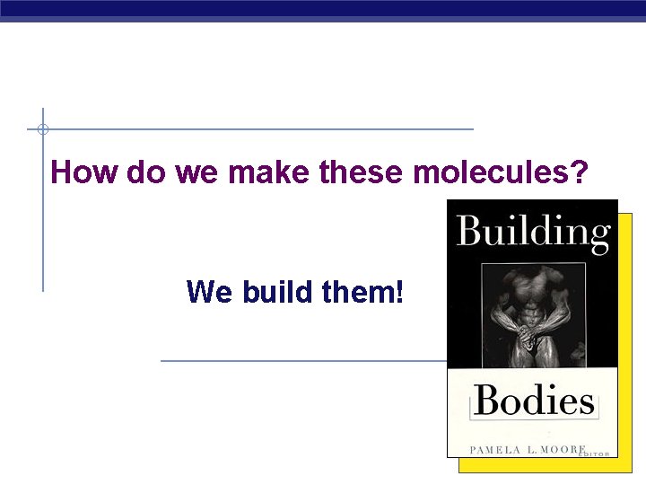 How do we make these molecules? We build them! 2006 -2007 