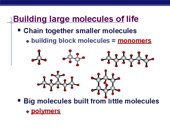 Building large molecules of life § Chain together smaller molecules u building block molecules