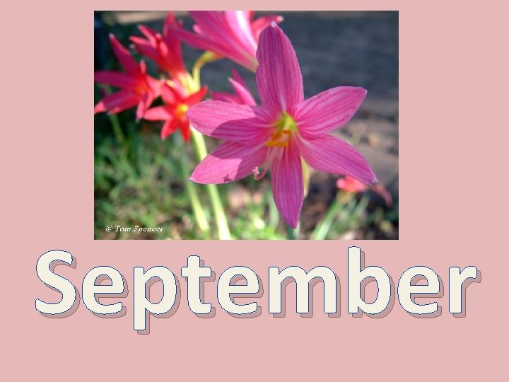September 