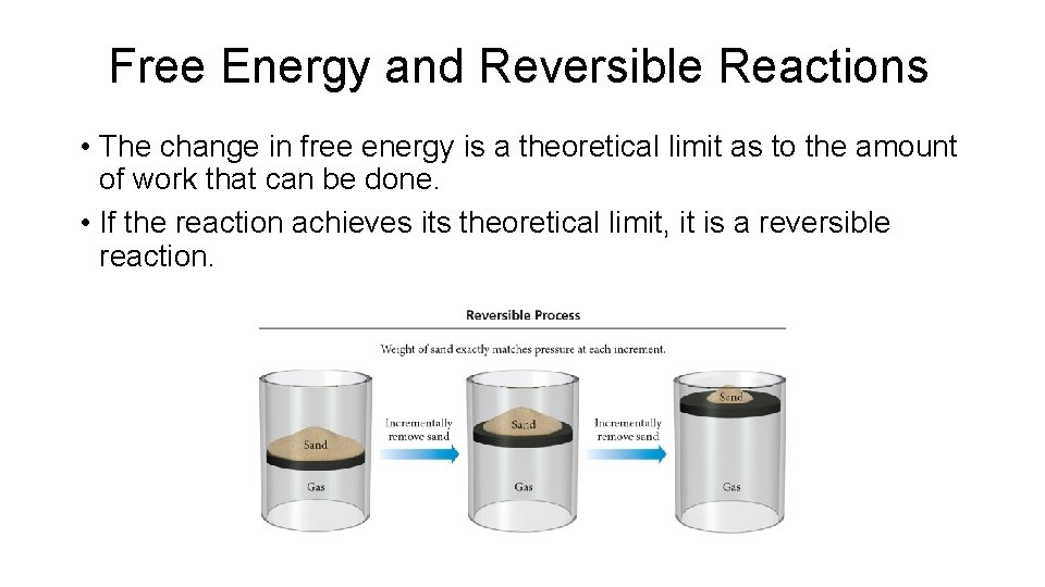 Free Energy and Reversible Reactions • The change in free energy is a theoretical