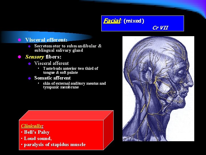 Facial: (mixed) l Visceral efferent: u Secretomotor to submandibular & sublingual salivary gland l