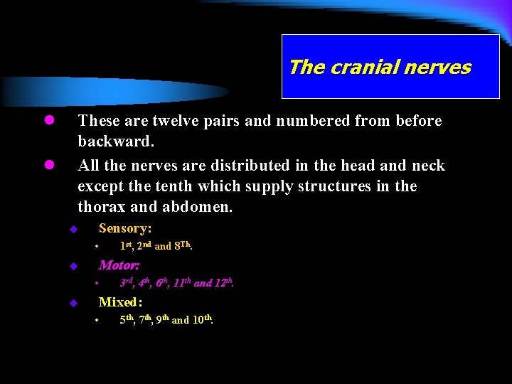 The cranial nerves l l These are twelve pairs and numbered from before backward.