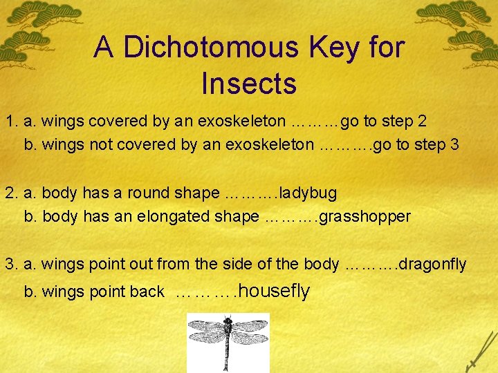 A Dichotomous Key for Insects 1. a. wings covered by an exoskeleton ………go to