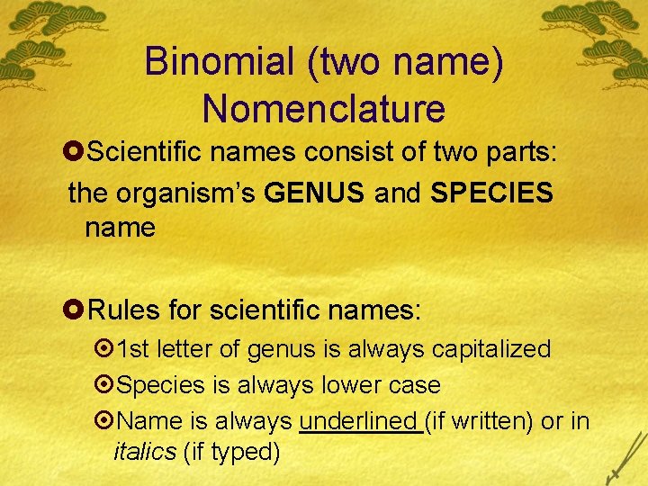 Binomial (two name) Nomenclature £Scientific names consist of two parts: the organism’s GENUS and