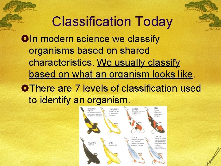 Classification Today £In modern science we classify organisms based on shared characteristics. We usually