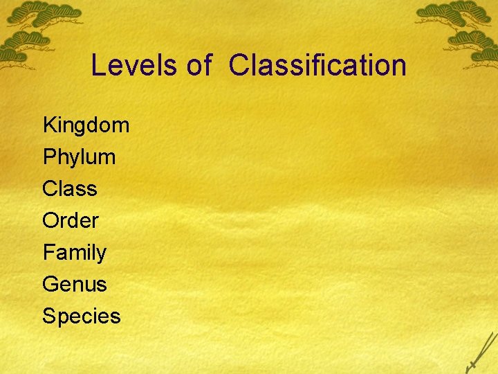 Levels of Classification Kingdom Phylum Class Order Family Genus Species 