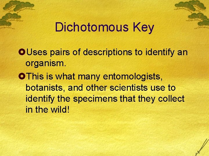 Dichotomous Key £Uses pairs of descriptions to identify an organism. £This is what many