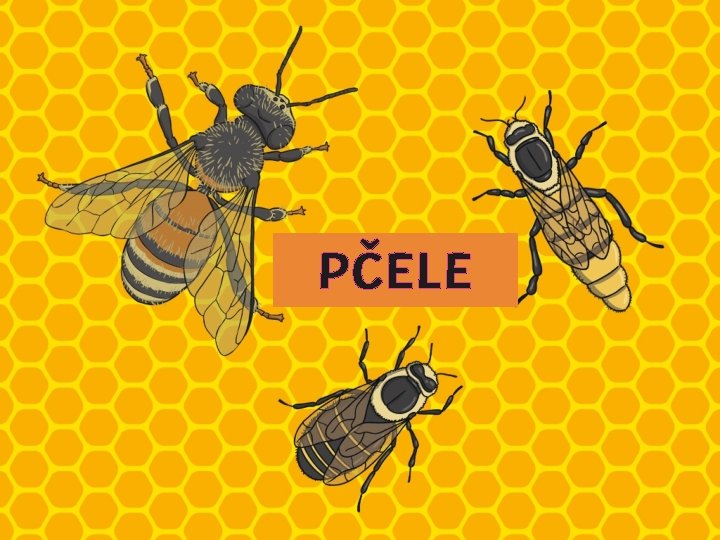 PČELE 