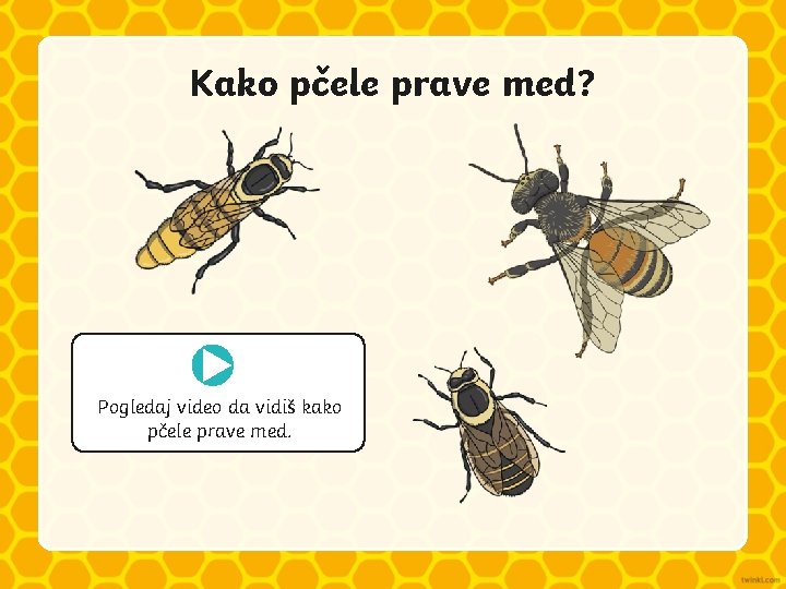 Kako pčele prave med? Pogledaj video da vidiš kako pčele prave med. 