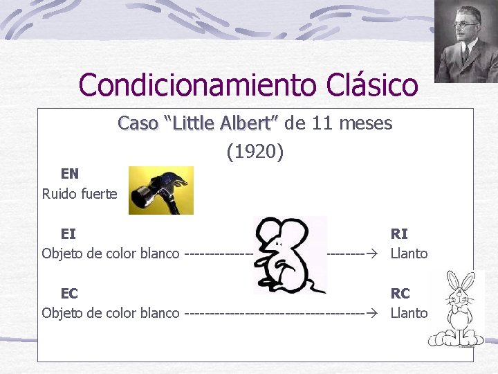 Condicionamiento Clásico Caso “Little Albert” de 11 meses (1920) EN Ruido fuerte EI RI