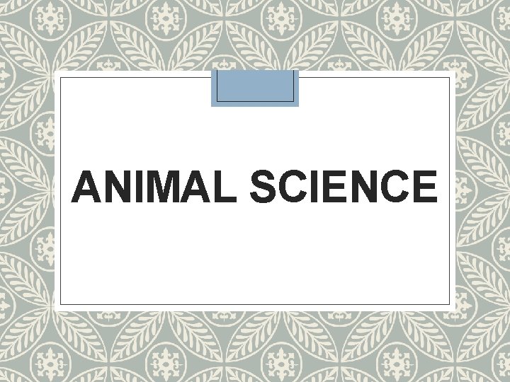 ANIMAL SCIENCE 