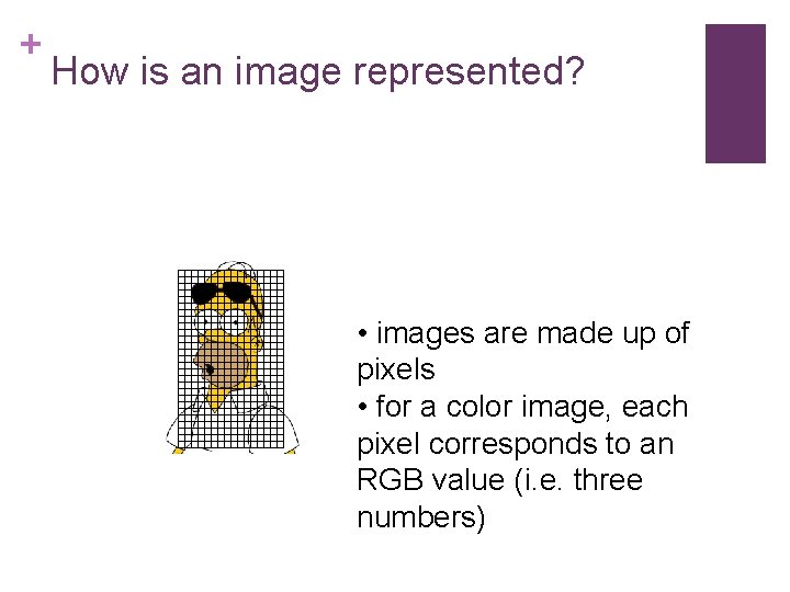 + How is an image represented? • images are made up of pixels •