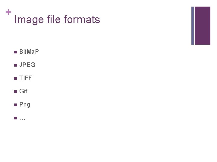 + Image file formats n Bit. Ma. P n JPEG n TIFF n Gif