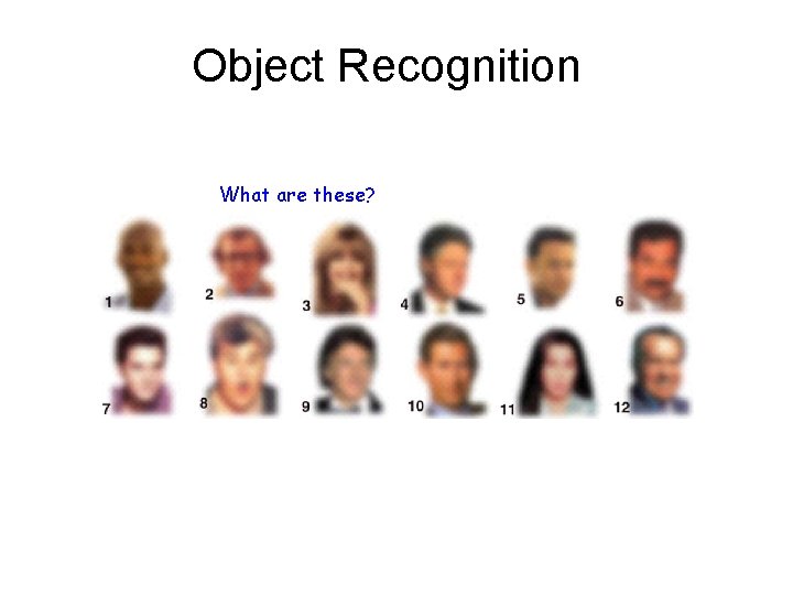 Object Recognition What are these? 
