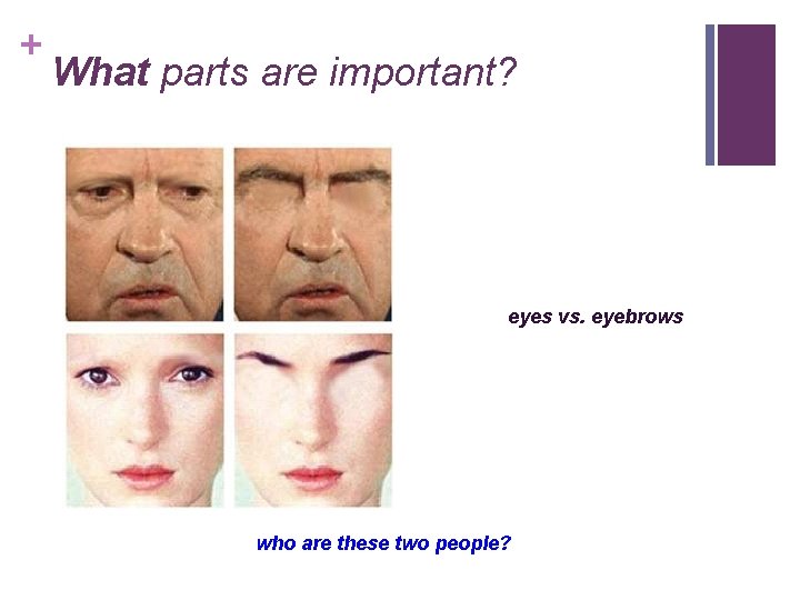 + What parts are important? eyes vs. eyebrows who are these two people? 