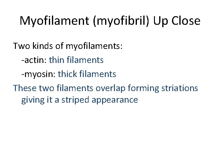 Myofilament (myofibril) Up Close Two kinds of myofilaments: -actin: thin filaments -myosin: thick filaments