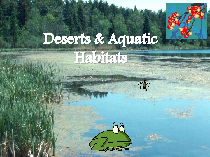 Deserts & Aquatic Habitats 