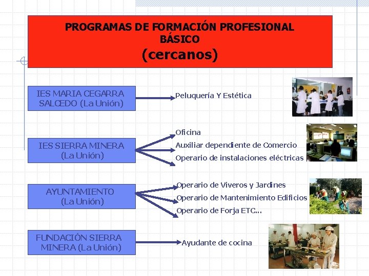 PROGRAMAS DE FORMACIÓN PROFESIONAL BÁSICO (cercanos) IES MARIA CEGARRA SALCEDO (La Unión) Peluquería Y