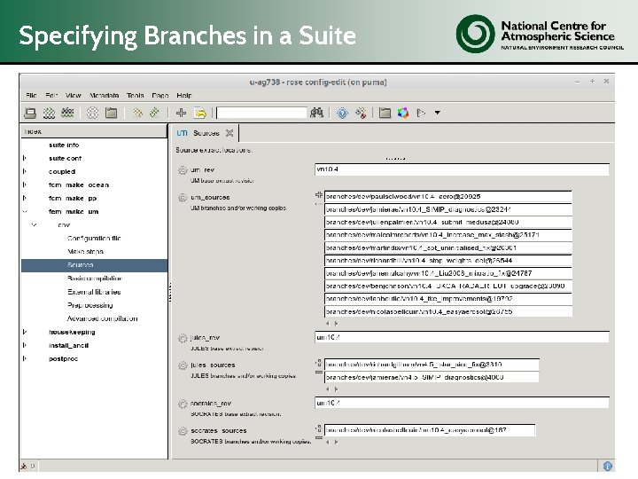 Specifying Branches in a Suite 54 