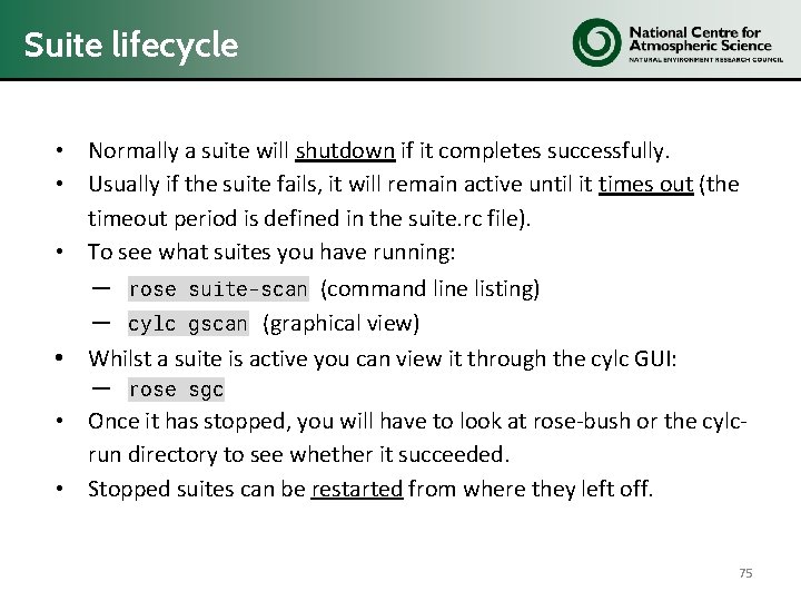 Suite lifecycle • Normally a suite will shutdown if it completes successfully. • Usually