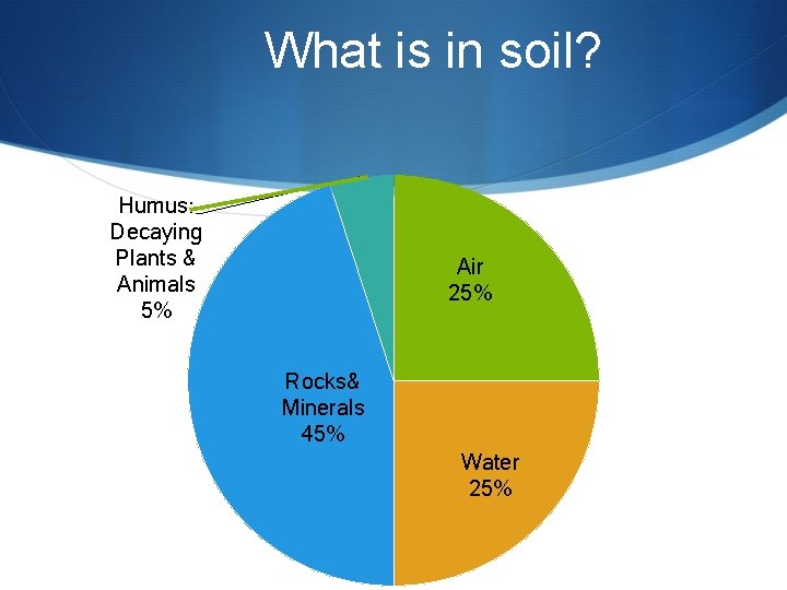 What is in soil? Humus: Decaying Plants & Animals 5% Air 25% Rocks& Minerals What is in soil? Humus: Decaying Plants & Animals 5% Air 25% Rocks& Minerals