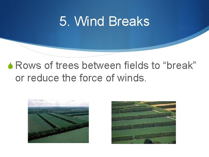 5. Wind Breaks S Rows of trees between fields to “break” or reduce the 5. Wind Breaks S Rows of trees between fields to “break” or reduce the