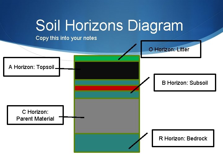 Soil Horizons Diagram Copy this into your notes O Horizon: Litter. N A Horizon: Soil Horizons Diagram Copy this into your notes O Horizon: Litter. N A Horizon:
